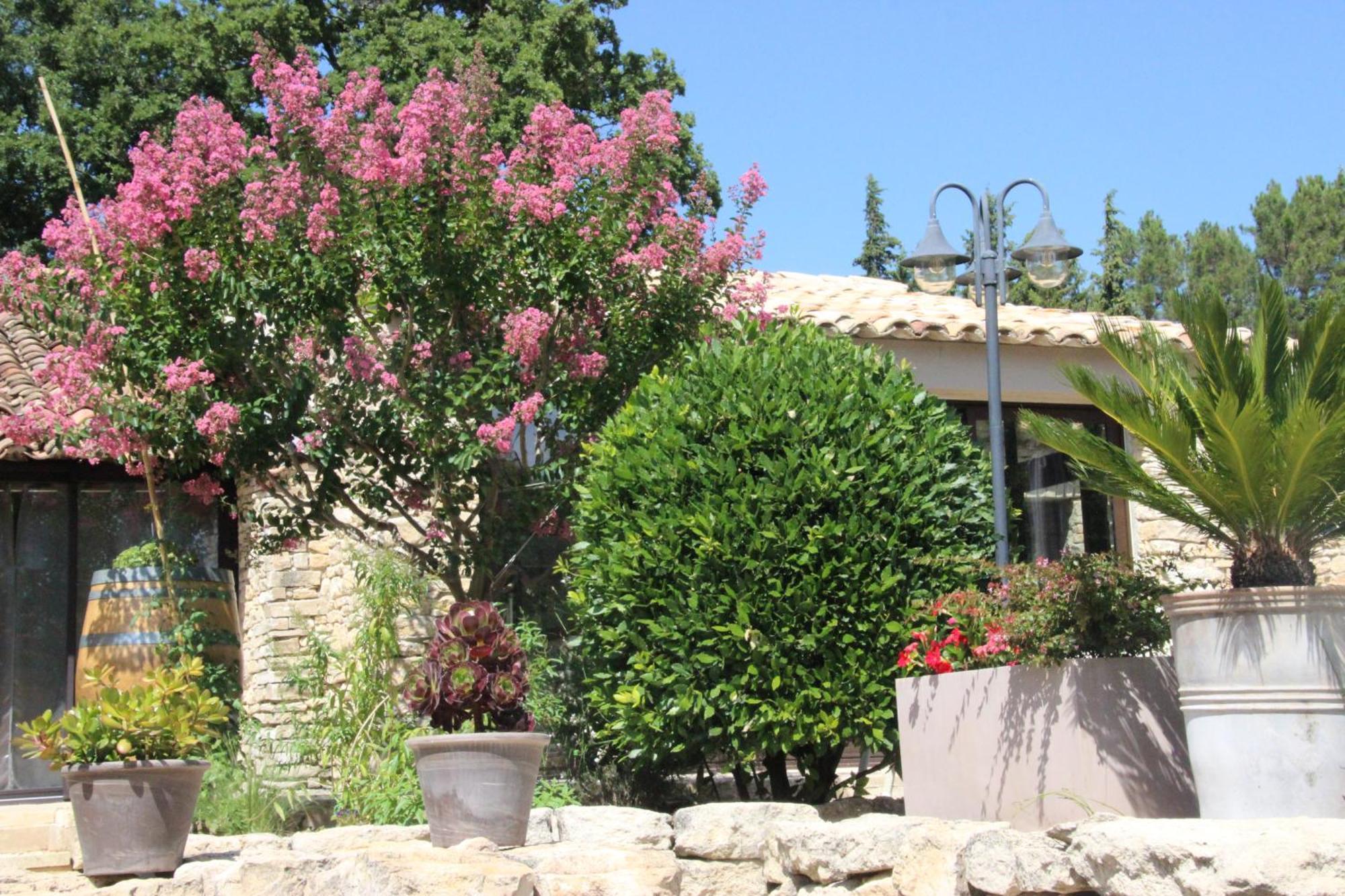 Fleur De Lavande Gordes Exteriér fotografie